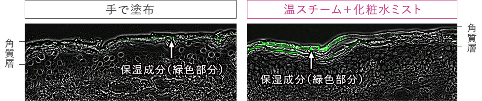 温スチームと化粧水ミストで角質層までしっかりうるおう