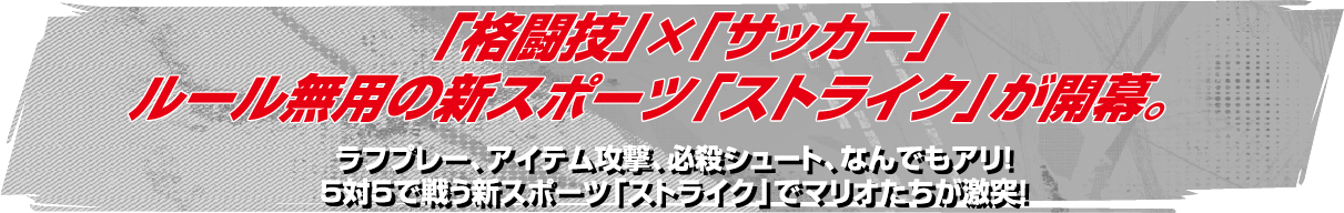 「格闘技」×「サッカー」ルール無用の新スポーツ「ストライク」が開幕