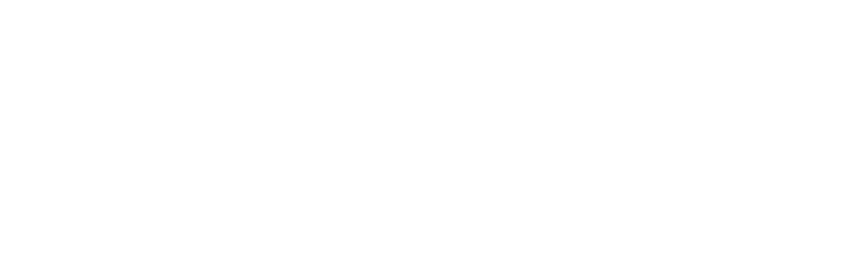 コジャケと共に、ジャンクを探しながら日銭を稼いで暮らす日々を送っていたキミ（主人公）は、ひょんなことから「New!カラストンビ部隊」と出会い、隊員「３号」として悪いタコ軍団に立ち向かうことになる。