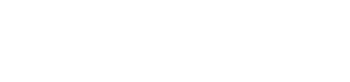 舞台は、イカやタコなどの進化した海洋生物が古くから暮らす土地「バンカラ地方」。その中心地「バンカラ街」は、最近急速に再開発が進み、様々な時代の建造物がひしめき合う独自の文化が形成されている。