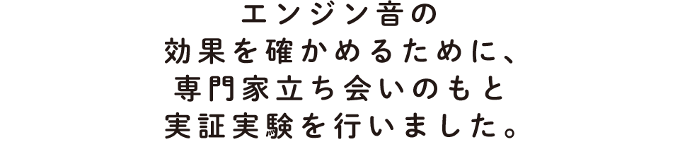 3.実験してみた