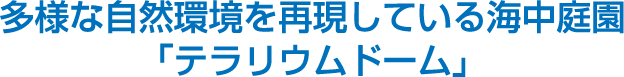 多様な自然環境を再現している海中庭園「テラリウムドーム」