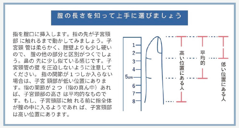 膣の長さを知って上手に選びましょう 指を膣口に挿入します。指の先が子宮頸部に触れるまで動かしてみましょう。子宮頸管は柔らかく、膣壁よりも少し硬いので、膣の他の部分と区別がつくでしょう。鼻の先に少し似ている感じです。子宮頸管の壁を圧迫しないように注意してください。指の関節が1つしか入らない場合は、子宮頸部が低い位置にあります。指の関節が2つ(指の真ん中)あれば、子宮頸部の高さは平均的なものです。もし、子宮頸部に触れる前に指全体が膣の中に入るようであれば、子宮頸部は高い位置にあります。