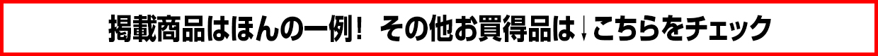 その他お買い得品はこちらをチェック