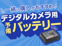 デジカメ用予備バッテリー