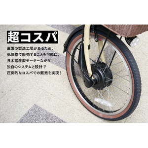 PELTECH 20型電動アシスト自転車 外装6段 ネイビー TDN-206L-NV-8AH-イメージ2