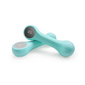 パルス Move It Smart Dumbbell 0．5kg ブルー MVDV0021RB-イメージ1