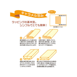 タカ印 包装紙 タータンチェック B 全判(757×1060mm) 50枚 FC25459-49-2157-イメージ8