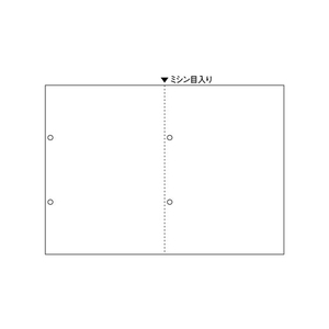 ヒサゴ マルチプリンタ帳票A4白紙2面ヨコ 源泉徴収票用 FC91409-BP2069-イメージ1
