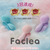 KALOS BEAUTY TECHNOLOGY 洗顔ブラシ Faclea フェアリーグリーン FAG001-イメージ13