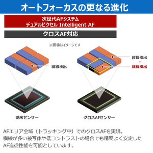 キヤノン デジタル一眼カメラ・ボディ EOS R1 R1BODY-イメージ12