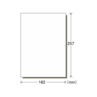 エーワン PPC(コピー)ラベル B5 ノーカット 100枚 F861644-28772