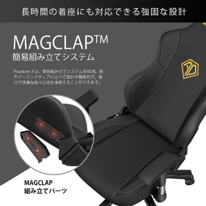 Andaseat ゲーミングチェア Phantom 3 ホワイト(PVCレザー) AD18Y-06-W-PV-イメージ13