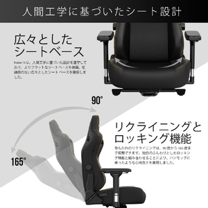 Andaseat ゲーミングチェア Kaiser 3 エレガントブラック(DuraXtraレザー) AD12YDC-L-01-B-PV/C-イメージ12