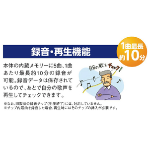 オン・ステージ パーソナルカラオケ PK-WA100-イメージ11