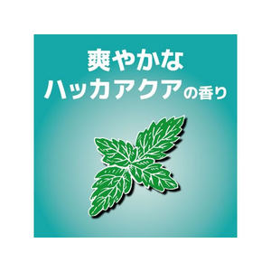 金鳥 虫コナーズ アミ戸に貼るタイプ 200日用 ハッカアクアの香り FC012PZ-イメージ4