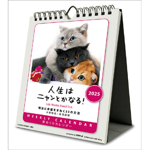 トライエックス カレンダー 2025年版 人生はニャンとかなる！ 卓上/壁掛 2025CL384ｼﾞﾝｾｲﾊﾆﾔﾝﾄｶﾅﾙ-イメージ1