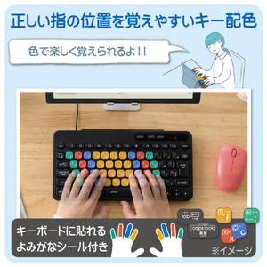 エレコム 有線キーボード KEY PALETTO ブラック TK-FS10UMKBK-イメージ4