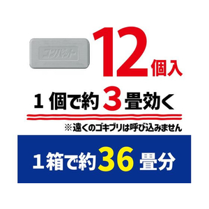 金鳥 コンバット 玄関・ベランダ用 1年用 12個入 FC015PZ-イメージ4