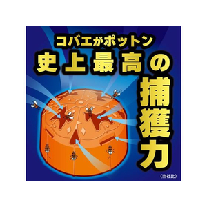 金鳥 コバエがポットン 置き型 2個入 FC018PZ-イメージ2