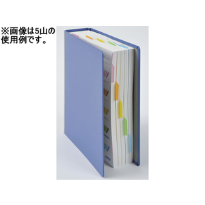 ビュートン ダブル・インデックス A4タテ 12山 2穴 1組 1冊 F892545-IDX-A4-12Y-イメージ2