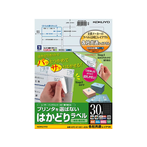 コクヨ プリンタを選ばないはかどりラベル各社共通30面22枚 F883324-KPC-E1301-20-イメージ1