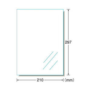 エーワン 屋外でも使えるサインラベルシール ツヤ消しフィルム・透明 A4 1面 ノーカット 10シート入り 31036-イメージ2