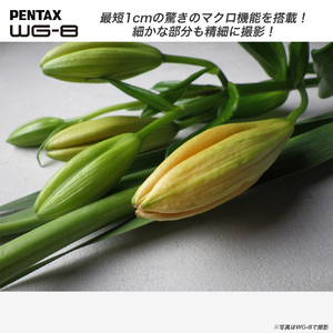 PENTAX コンパクトデジタルカメラ WGシリーズ ブラック WG8ﾌﾞﾗｯｸ-イメージ7