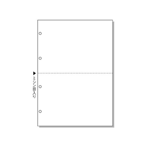 ヒサゴ マルチプリンタ帳票 A4 白紙 2面・4穴 100枚 FC91552-BP2003-イメージ1