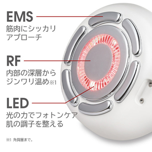 NICHOICE ボーテシルエットRF美顔器 ホワイト NBT-951-イメージ6