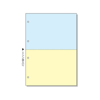 ヒサゴ マルチプリンタ用帳票 A4 カラー2面 4穴 100枚 FC91562-BP2011