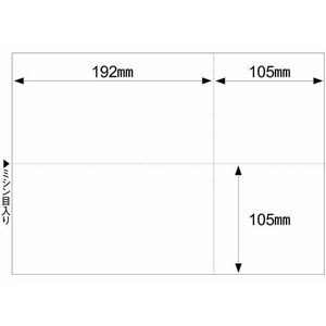 ヒサゴ マルチプリンタ帳票 A4 白紙EIAJ対応 100枚 FC91574-BP2066-イメージ2