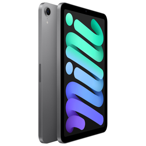 Apple iPad mini Wi-Fiモデル 512GB スペースグレイ MYGY3J/A-イメージ3