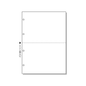 ヒサゴ マルチプリンタ帳票 A4 白紙 2面 4穴 2500枚 FC91581-BPE2003-イメージ1