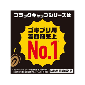 アース製薬 ブラックキャップ 36個入り FC363RH-イメージ2