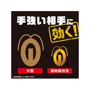 アース製薬 ブラックキャップ 36個入り FC363RH-イメージ4