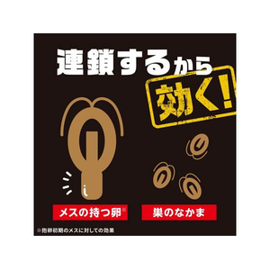 アース製薬 ブラックキャップ 36個入り FC363RH-イメージ5