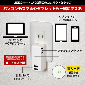 エルパ 耐雷USBタップ2個口2ポート2．4A UA-222SL-イメージ4