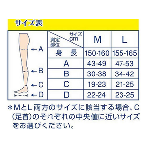 Ｓｃｈｏｌｌｓ Ｗｅｌｌｎｅｓｓ Ｃｏｍｐａｎｙ 寝ながらメディキュット ロング M F329373-281612-イメージ5