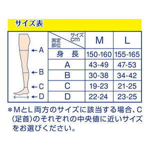 Ｓｃｈｏｌｌｓ Ｗｅｌｌｎｅｓｓ Ｃｏｍｐａｎｙ 寝ながらメディキュット ショート L F329376-281615-イメージ4