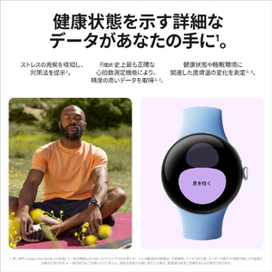 Google スマートウォッチ Google Pixel Watch 2 Champagne Gold アルミケース/Hazel アクティブバンド GA05030-GB-イメージ6