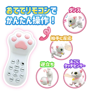 TKSK ROBOCATTY フレンドリーSiRo TK081ﾛﾎﾞｷﾔﾂﾃｲﾌﾚﾝﾄﾞﾘ-ｼﾛ-イメージ2