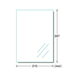 エーワン 屋外用レーザーラベル 光沢フィルム A4 ノーカット 10枚 F894345-31024-イメージ2