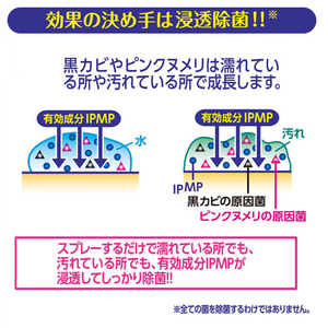 アース製薬 らくハピ 水まわりの防カビスプレー 無香性 400mL FC30624-イメージ7