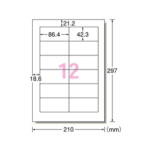 エーワン ラベルシール[下地隠せて修正] A4 12面 12シート F895279-31665-イメージ1