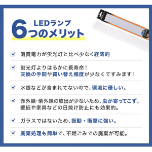 エコデバイス LED FPLランプ 55ワット相当(電球色) FPL55LED-D-イメージ4