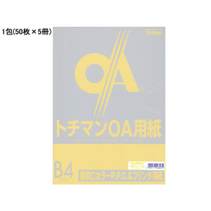 SAKAEテクニカルペーパー 極厚口カラーPPC B4 イエロー 50枚×5冊 F020447-LPP-B4-Y-イメージ1