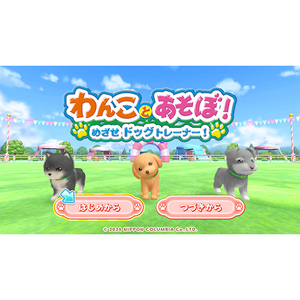 日本コロムビア わんことあそぼ! めざせドッグトレーナー!【Switch】 HACPBGQTA-イメージ2