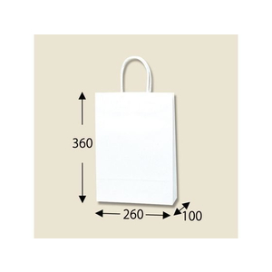シモジマ 紙袋 スムースバッグ S-100 白無地 25枚 FCN4549-003155600-イメージ2