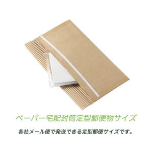 紺屋商事 ペーパー宅配封筒 定型郵便サイズ 10枚入 FCV2794-00971004-イメージ5